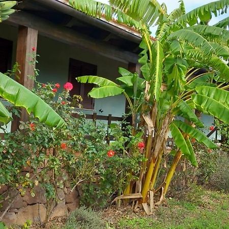 Agriturismo Su Tiresi กาลาโกโนเน ภายนอก รูปภาพ