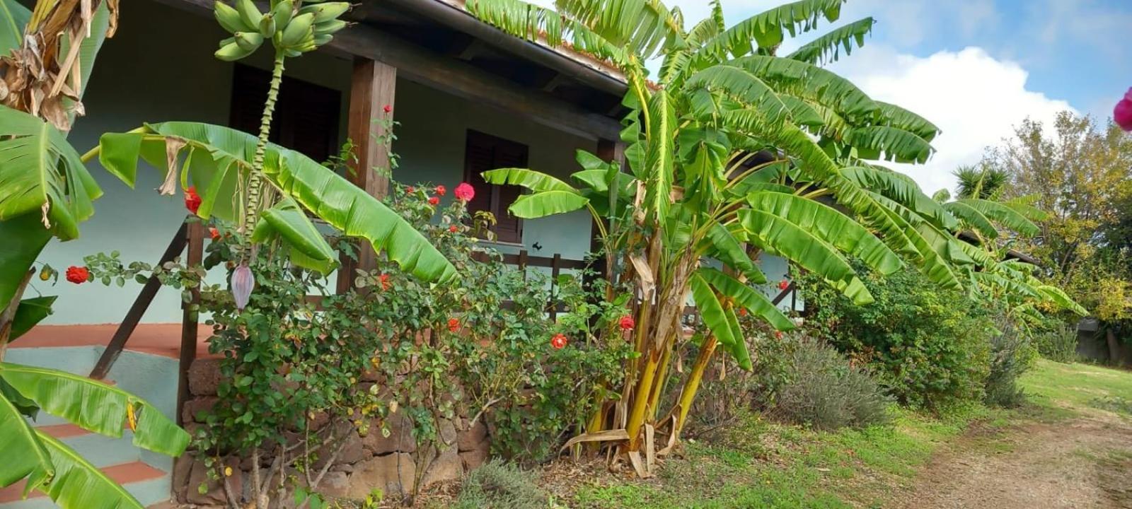 Agriturismo Su Tiresi กาลาโกโนเน ภายนอก รูปภาพ