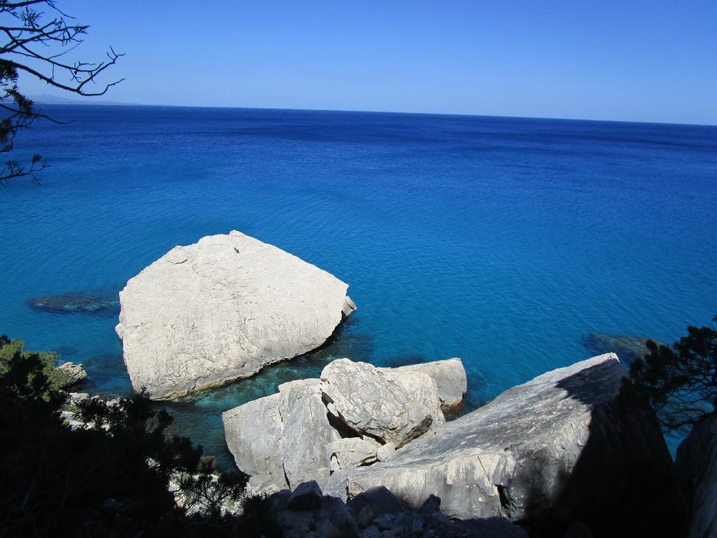 Agriturismo Su Tiresi กาลาโกโนเน ภายนอก รูปภาพ