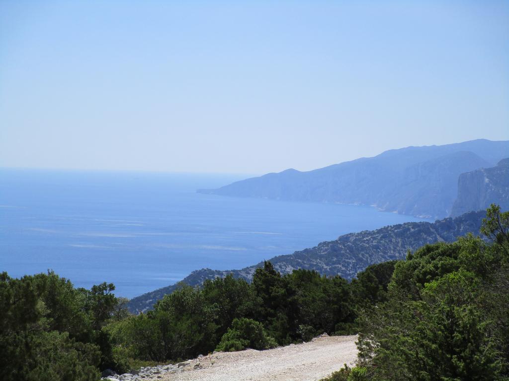 Agriturismo Su Tiresi กาลาโกโนเน ภายนอก รูปภาพ