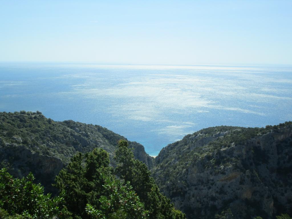 Agriturismo Su Tiresi กาลาโกโนเน ภายนอก รูปภาพ