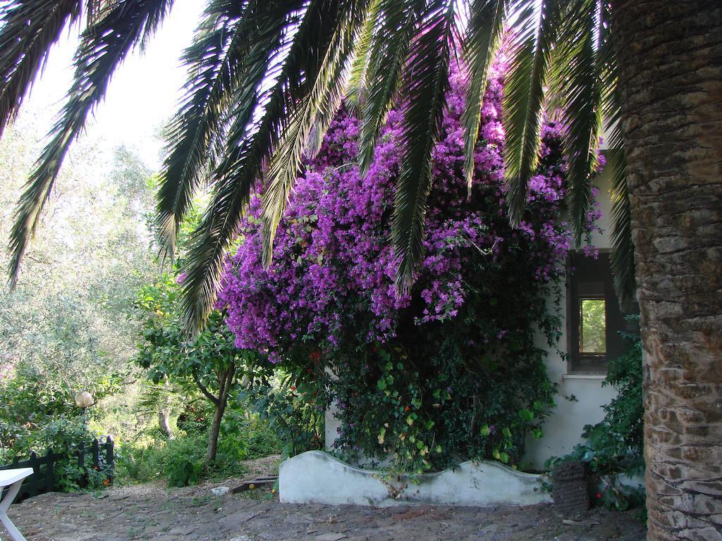 Agriturismo Su Tiresi กาลาโกโนเน ภายนอก รูปภาพ