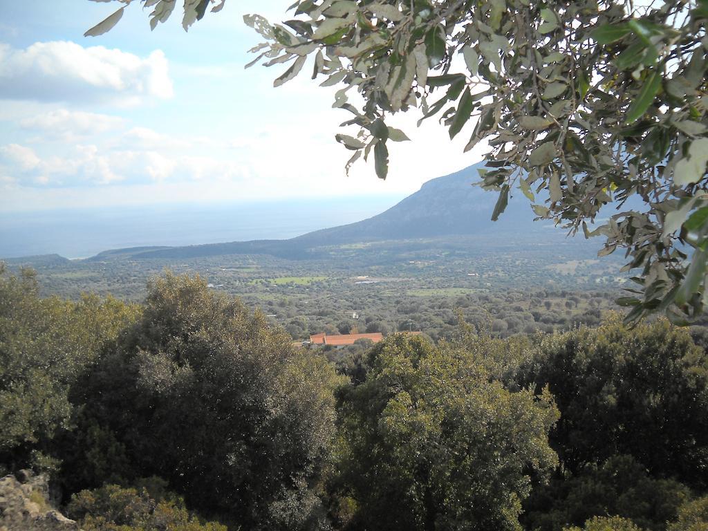 Agriturismo Su Tiresi กาลาโกโนเน ภายนอก รูปภาพ