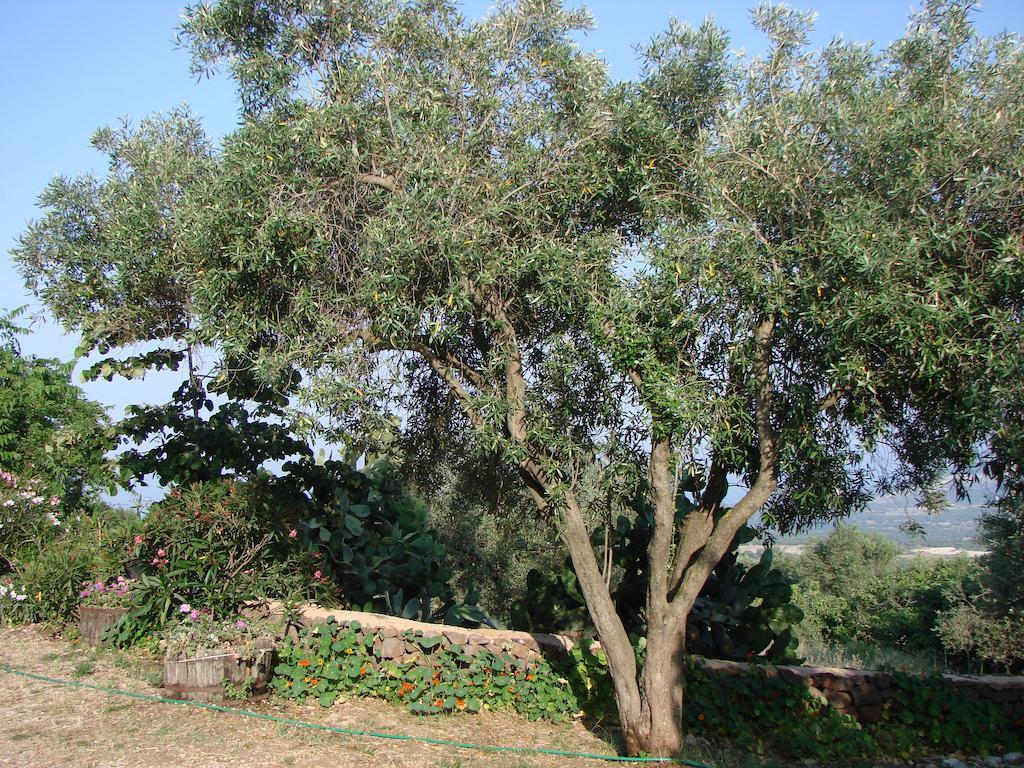 Agriturismo Su Tiresi กาลาโกโนเน ภายนอก รูปภาพ