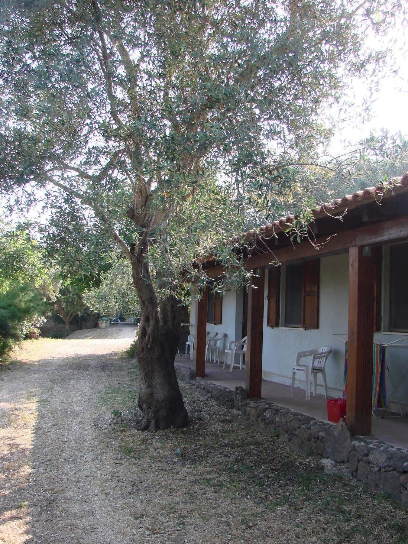 Agriturismo Su Tiresi กาลาโกโนเน ภายนอก รูปภาพ