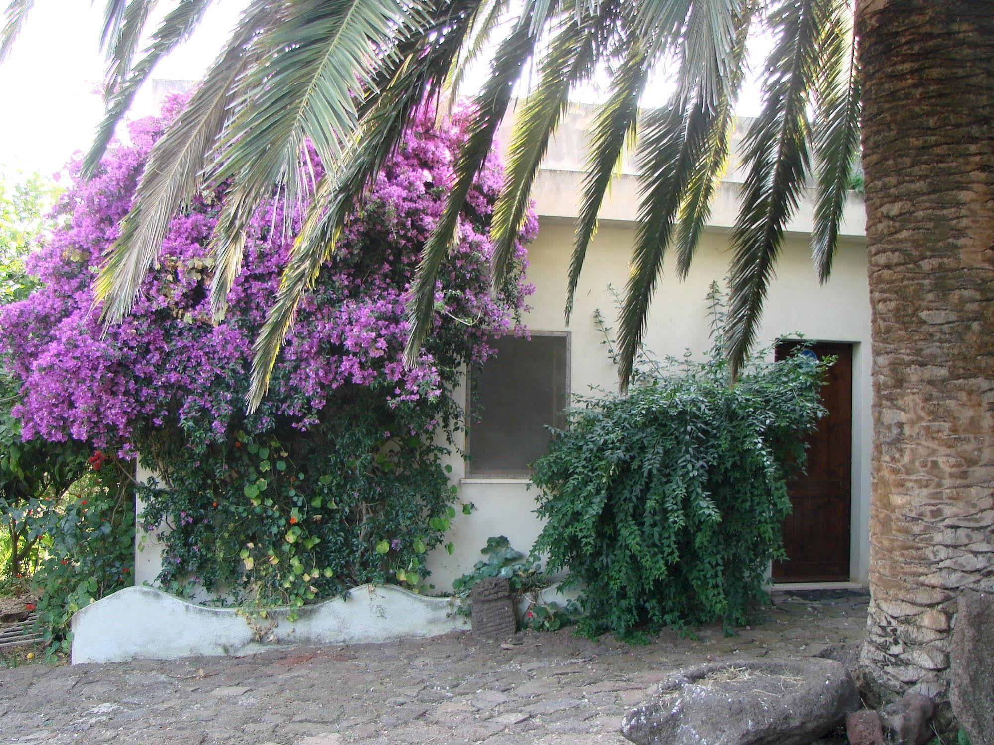 Agriturismo Su Tiresi กาลาโกโนเน ภายนอก รูปภาพ