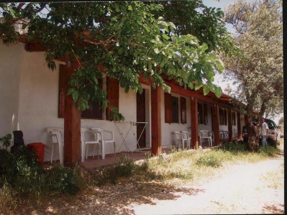 Agriturismo Su Tiresi กาลาโกโนเน ภายนอก รูปภาพ