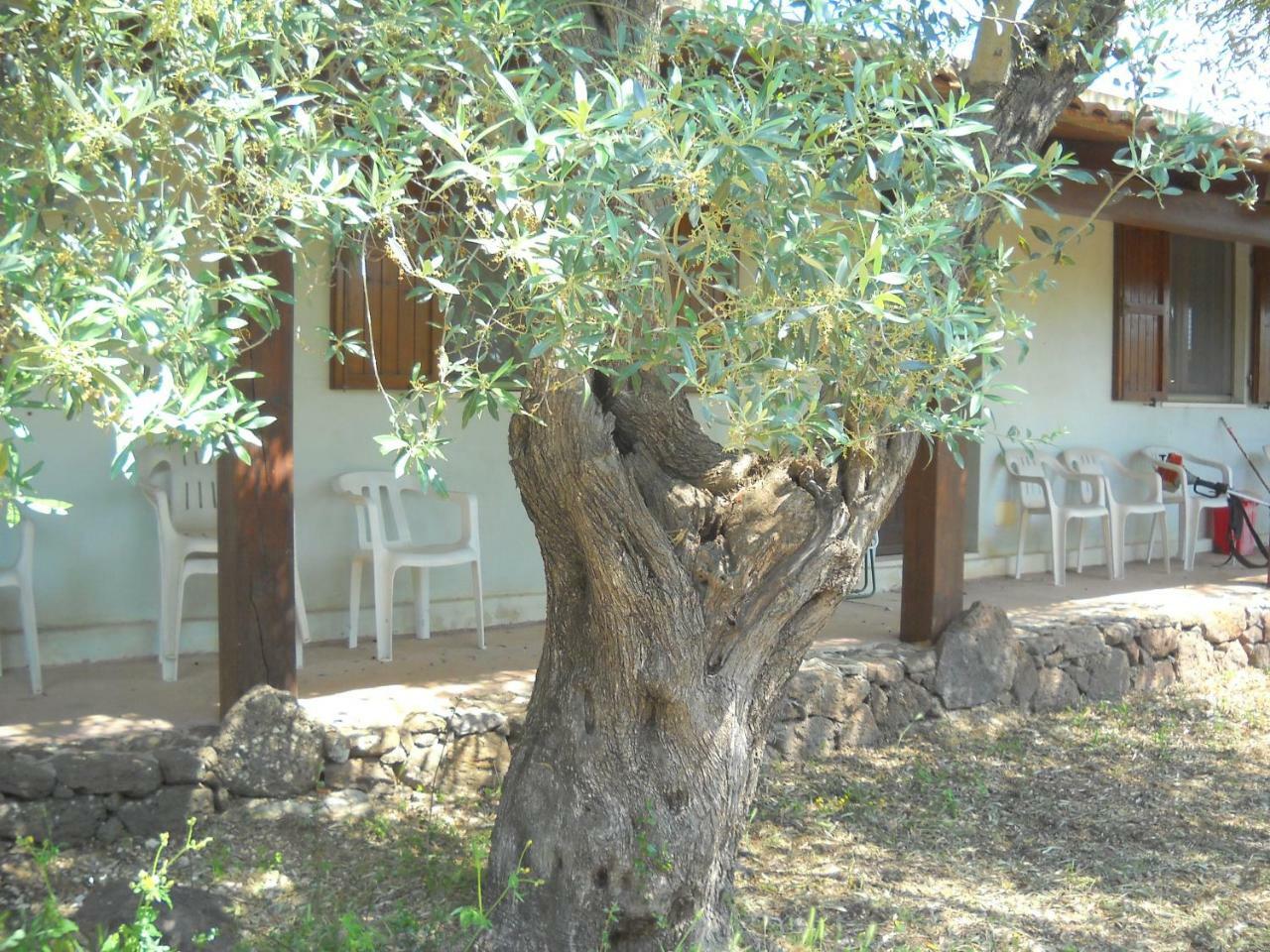 Agriturismo Su Tiresi กาลาโกโนเน ภายนอก รูปภาพ