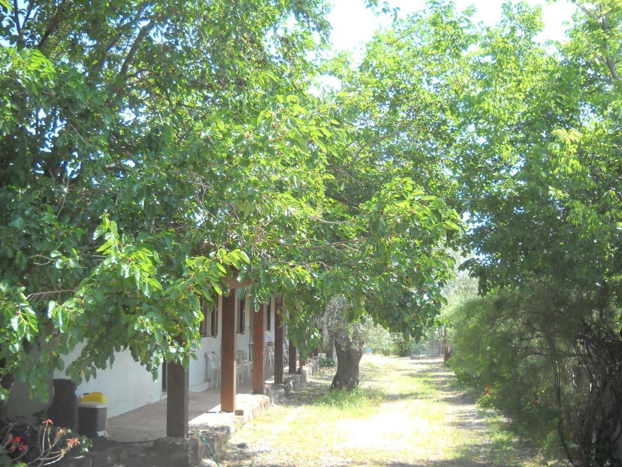 Agriturismo Su Tiresi กาลาโกโนเน ภายนอก รูปภาพ