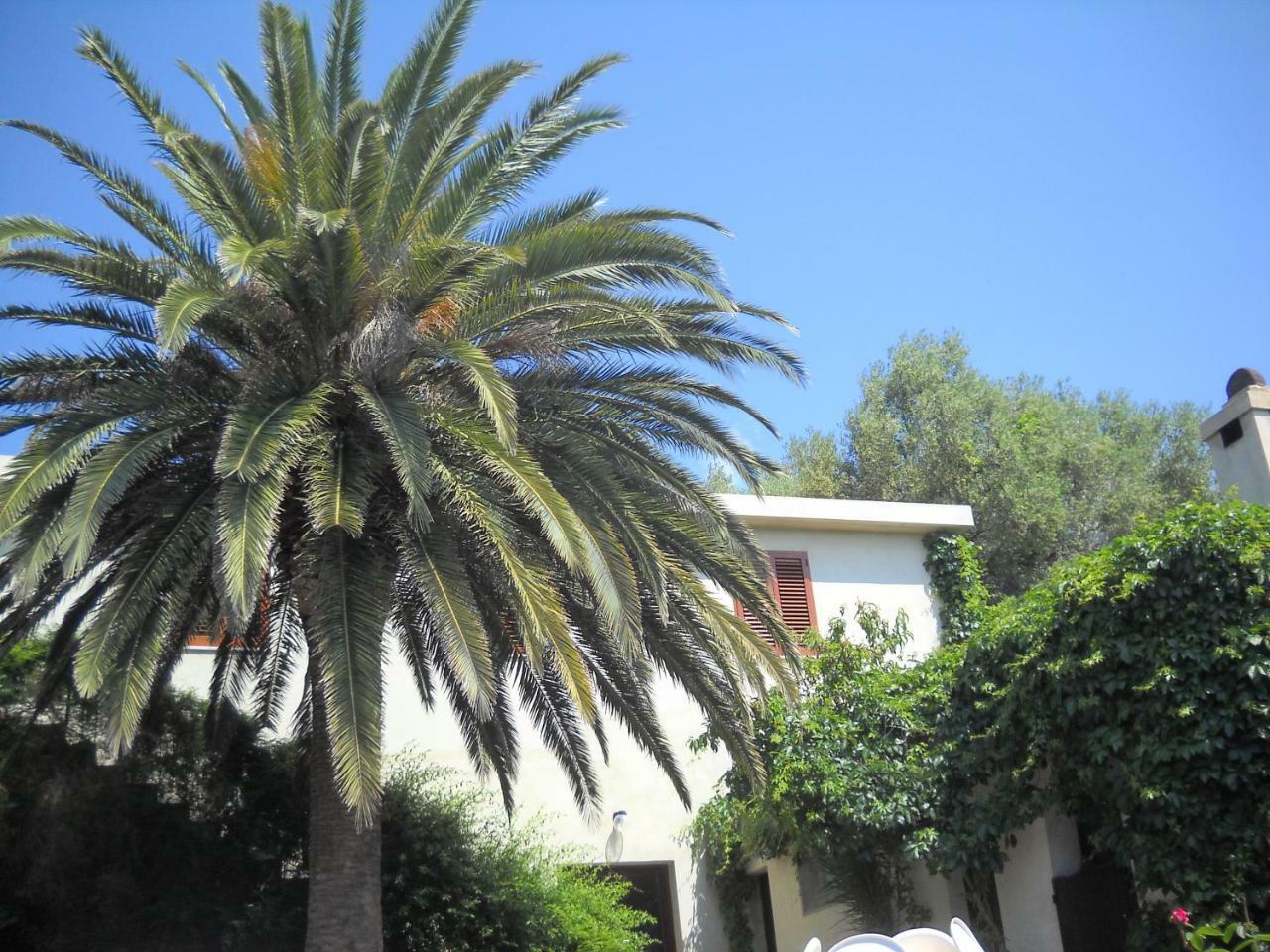 Agriturismo Su Tiresi กาลาโกโนเน ภายนอก รูปภาพ