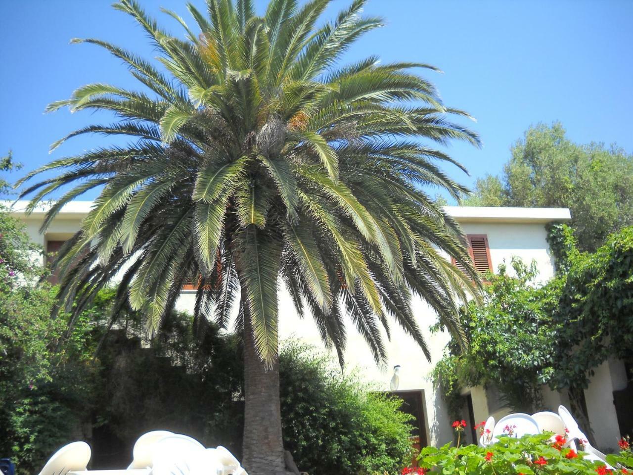Agriturismo Su Tiresi กาลาโกโนเน ภายนอก รูปภาพ